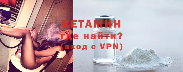 трава Бородино