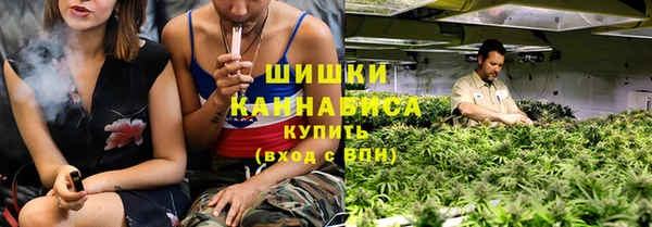 молекула духа Богородск