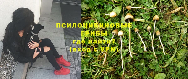 apvp Бугульма