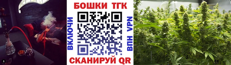 Шишки марихуана план  где найти наркотики  ссылка на мегу ТОР  Саратов 
